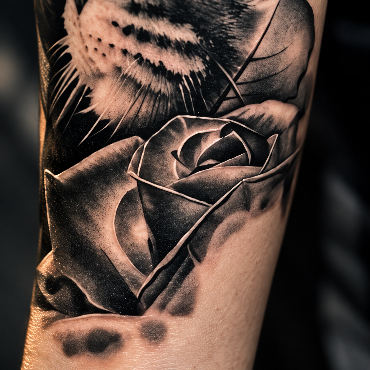 Tatouage de chat et roses — détail de la rose