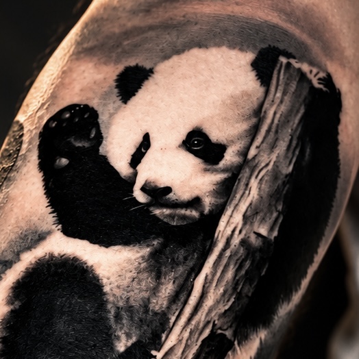 Tatouage de panda — vue d'ensemble