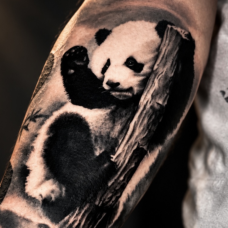 Tatouage de panda sur le bras — vue principale