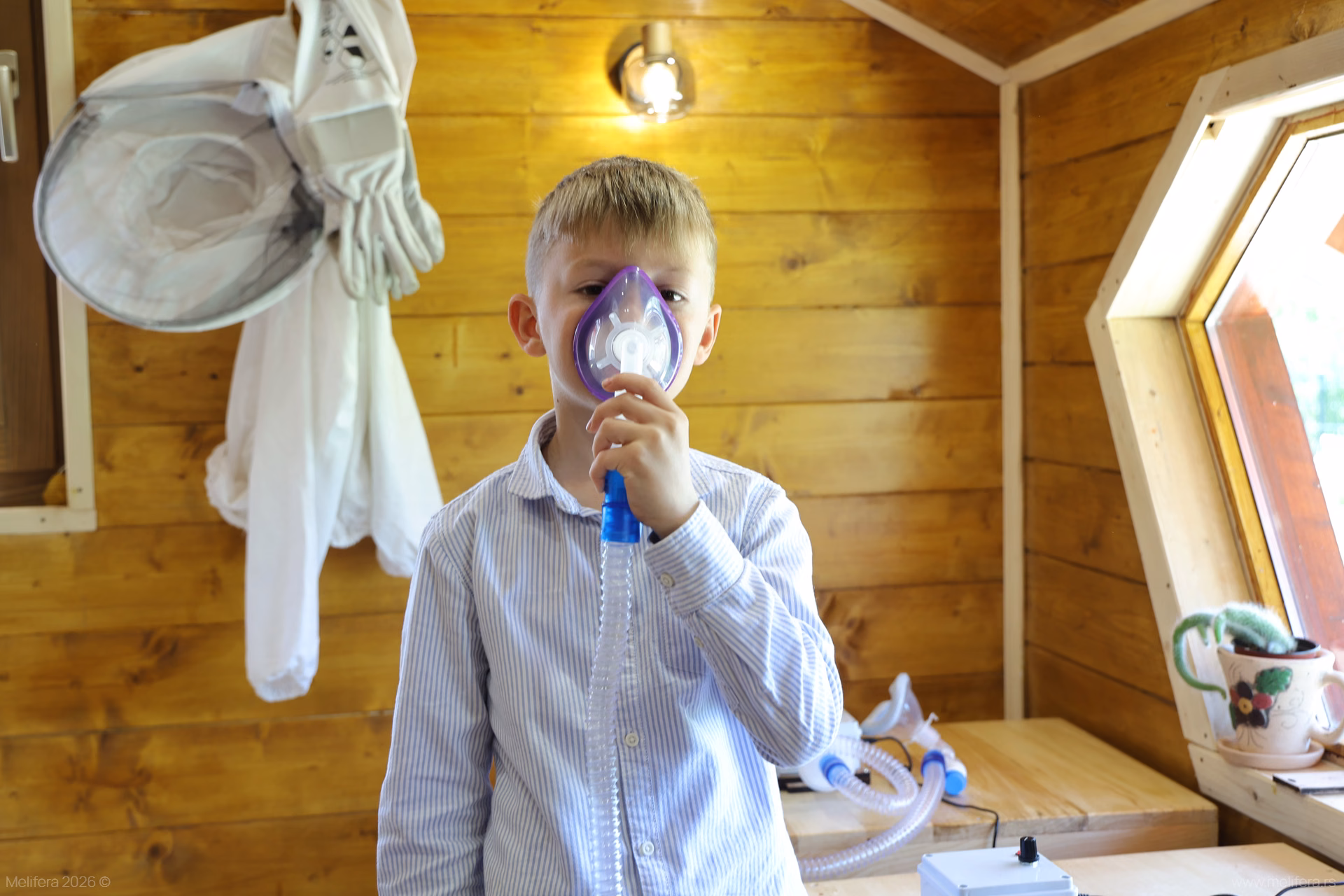 Inhalacija vazduha iz košnica za decu