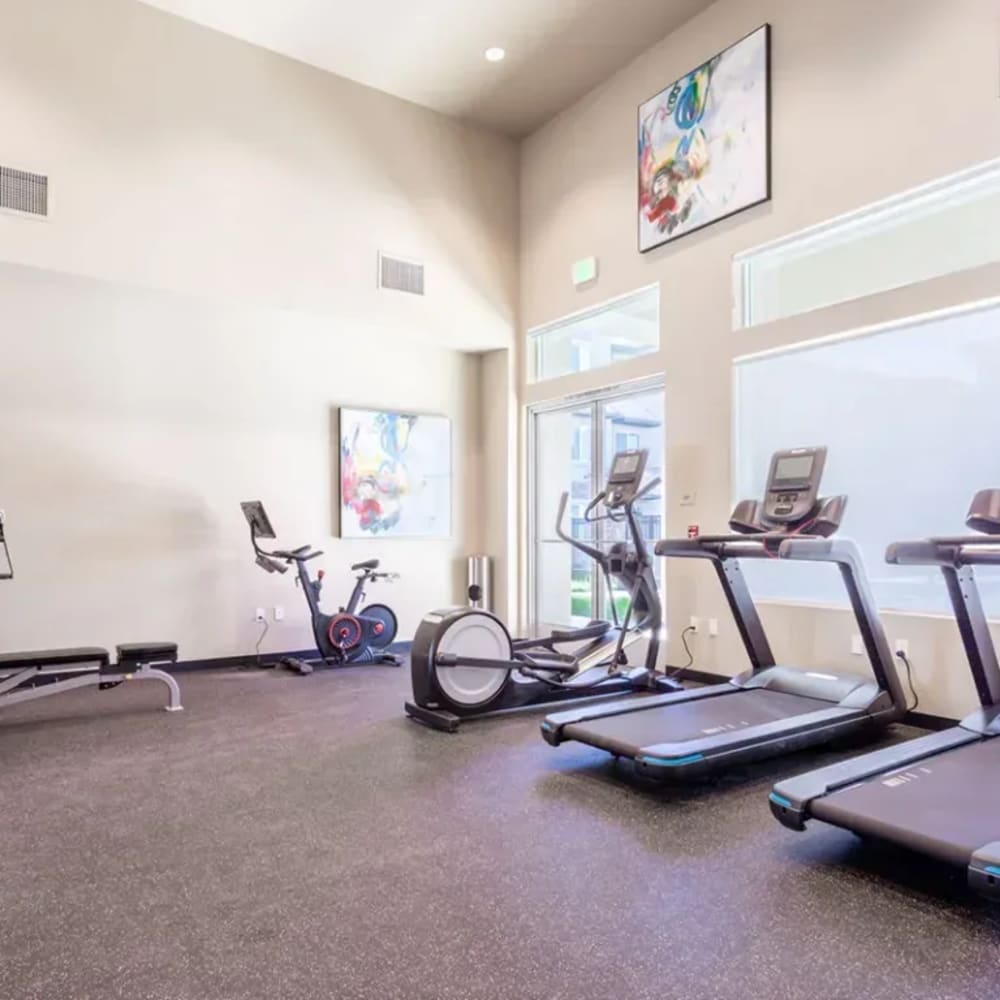 Gym with treadmills