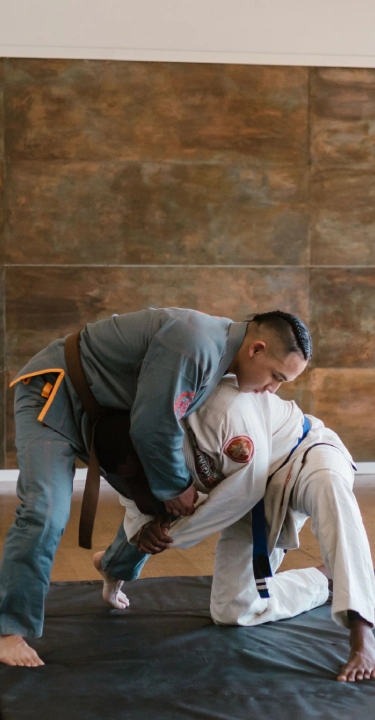 Two men engaged in martial arts training on a black mat in a room with a brick wall and a potted plant.