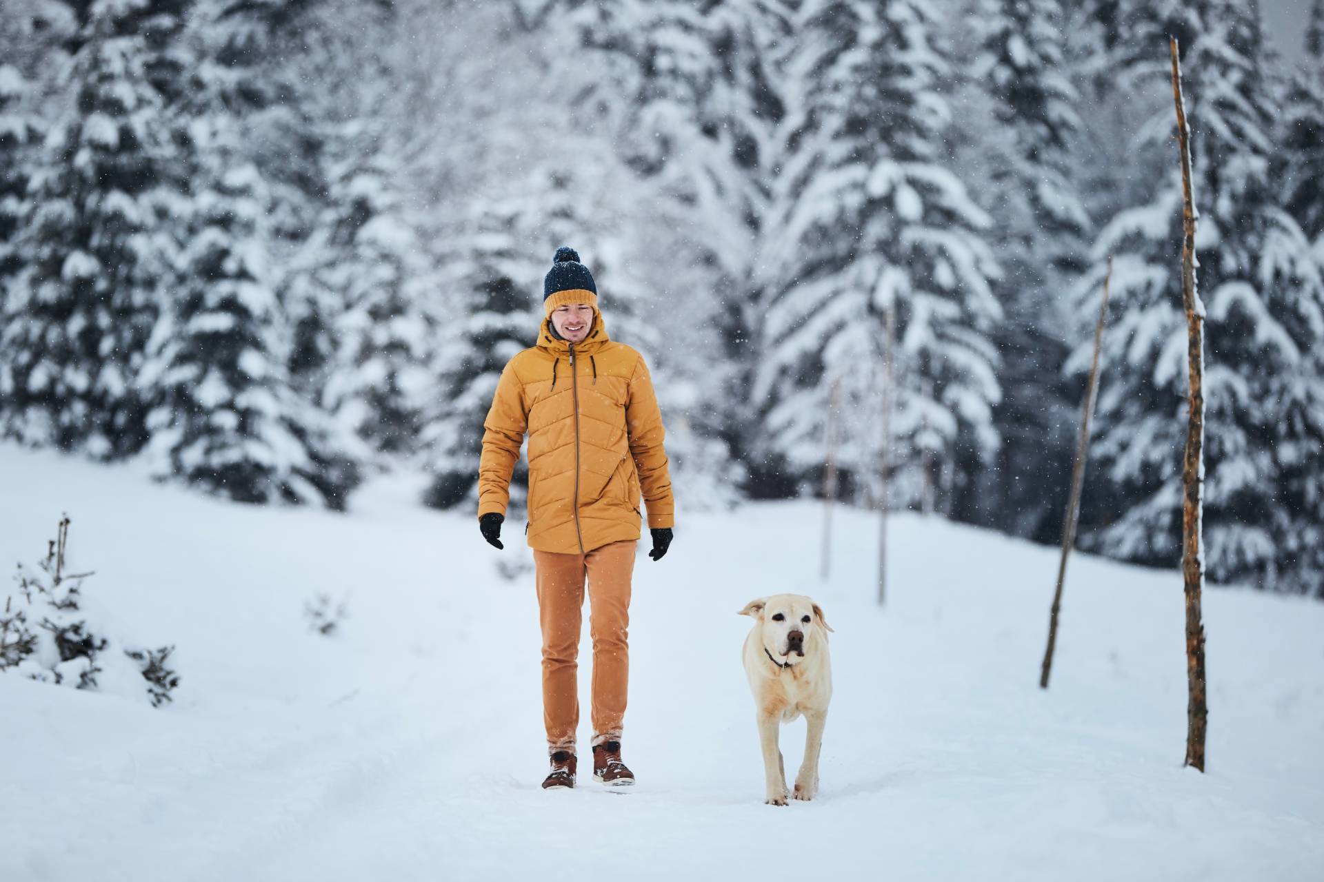 Winter readiness