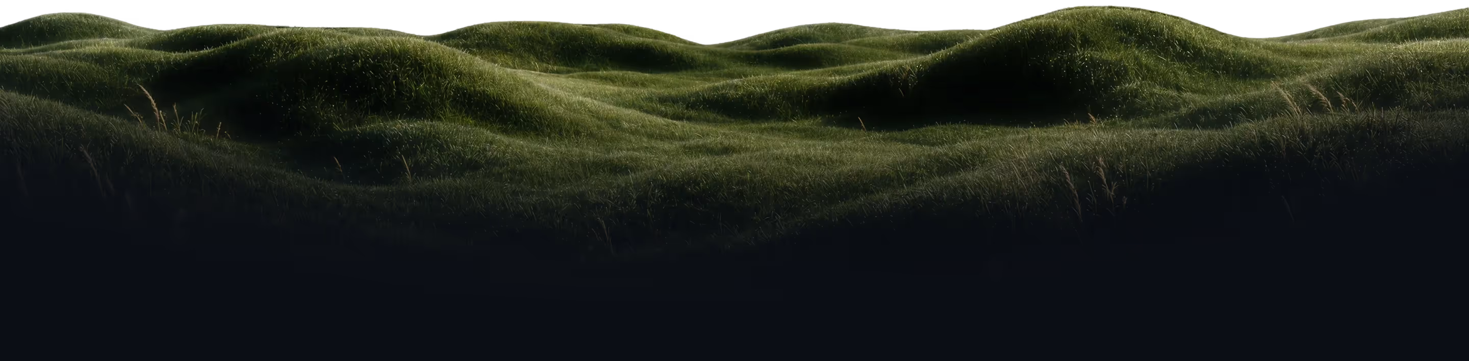Rolling grassy hills under soft lighting against a black background.