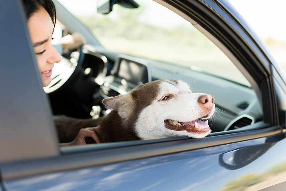 Should You Refinance Your Car: Insider Tips