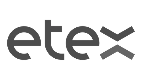 Etex logo in grayscale.
