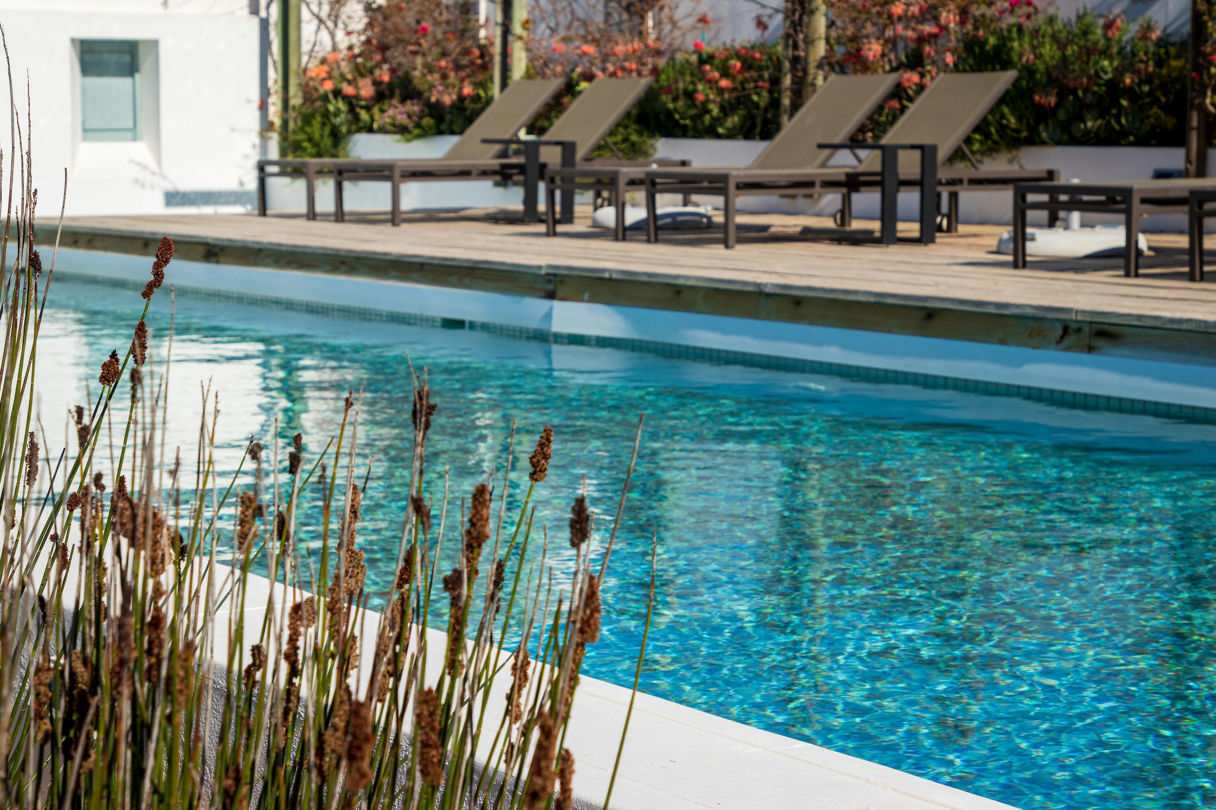 swimming pool contractors LaSalle