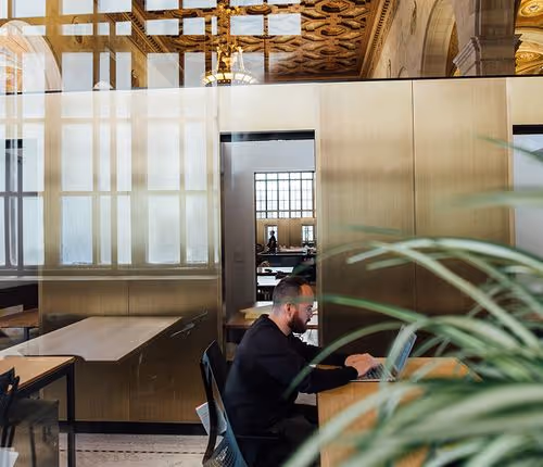 Man with beard working on laptop at wooden desk in ornate room with plant in foreground.