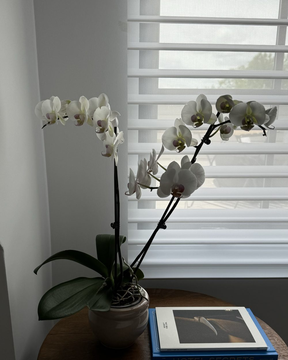 Inspiration 088