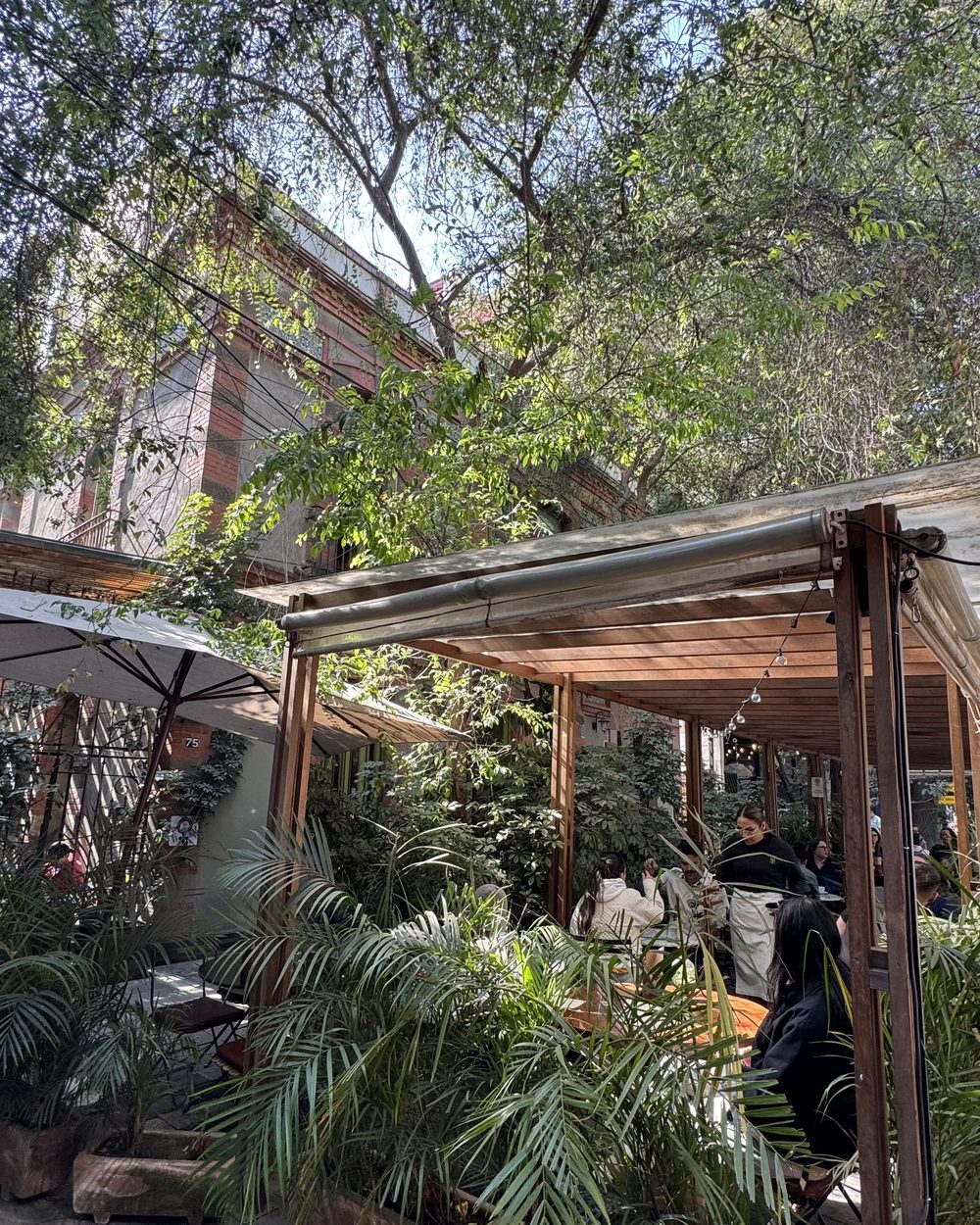 Inspiration 306