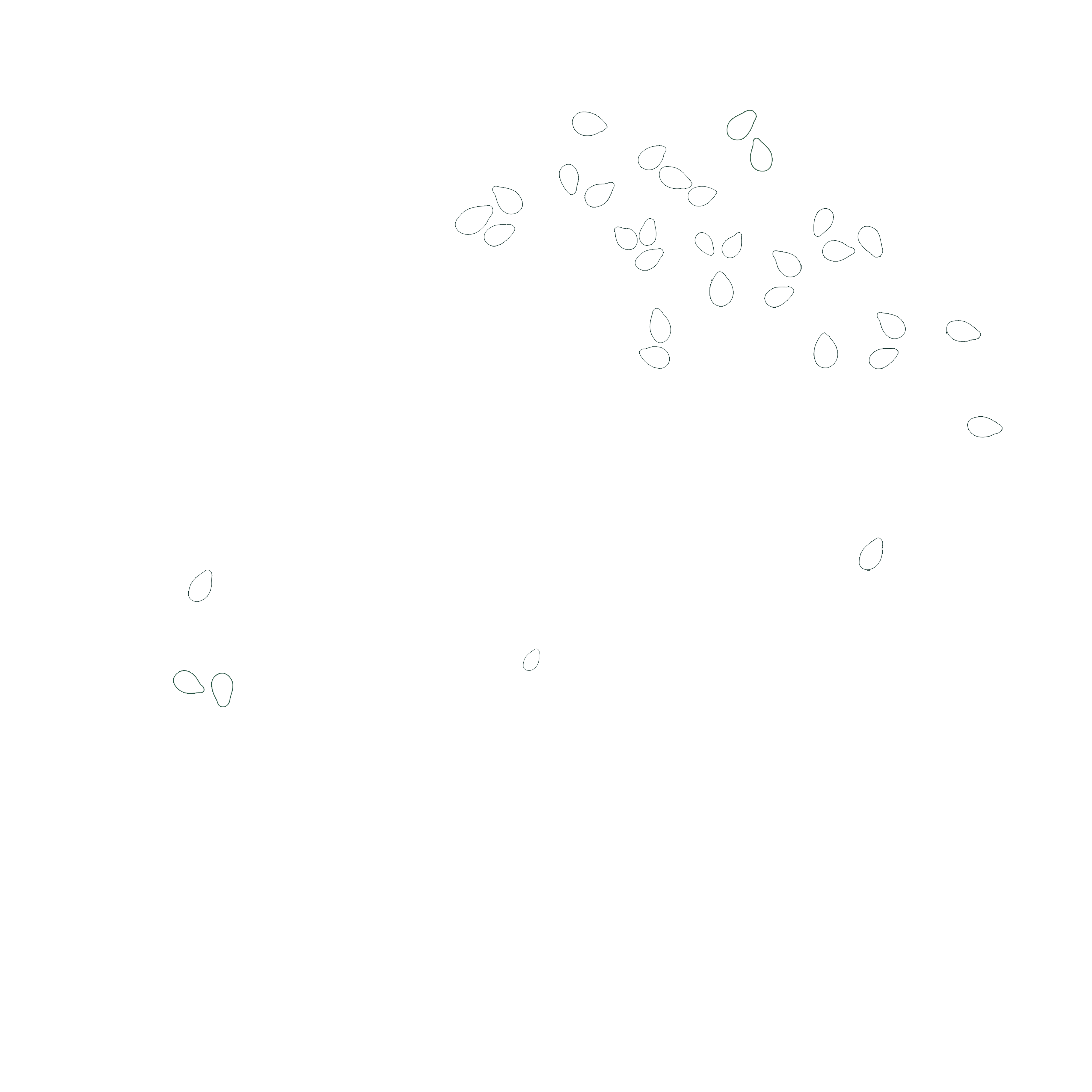 Madame SAJ — traiteur libanais et live cooking sur la Côte d’Azur