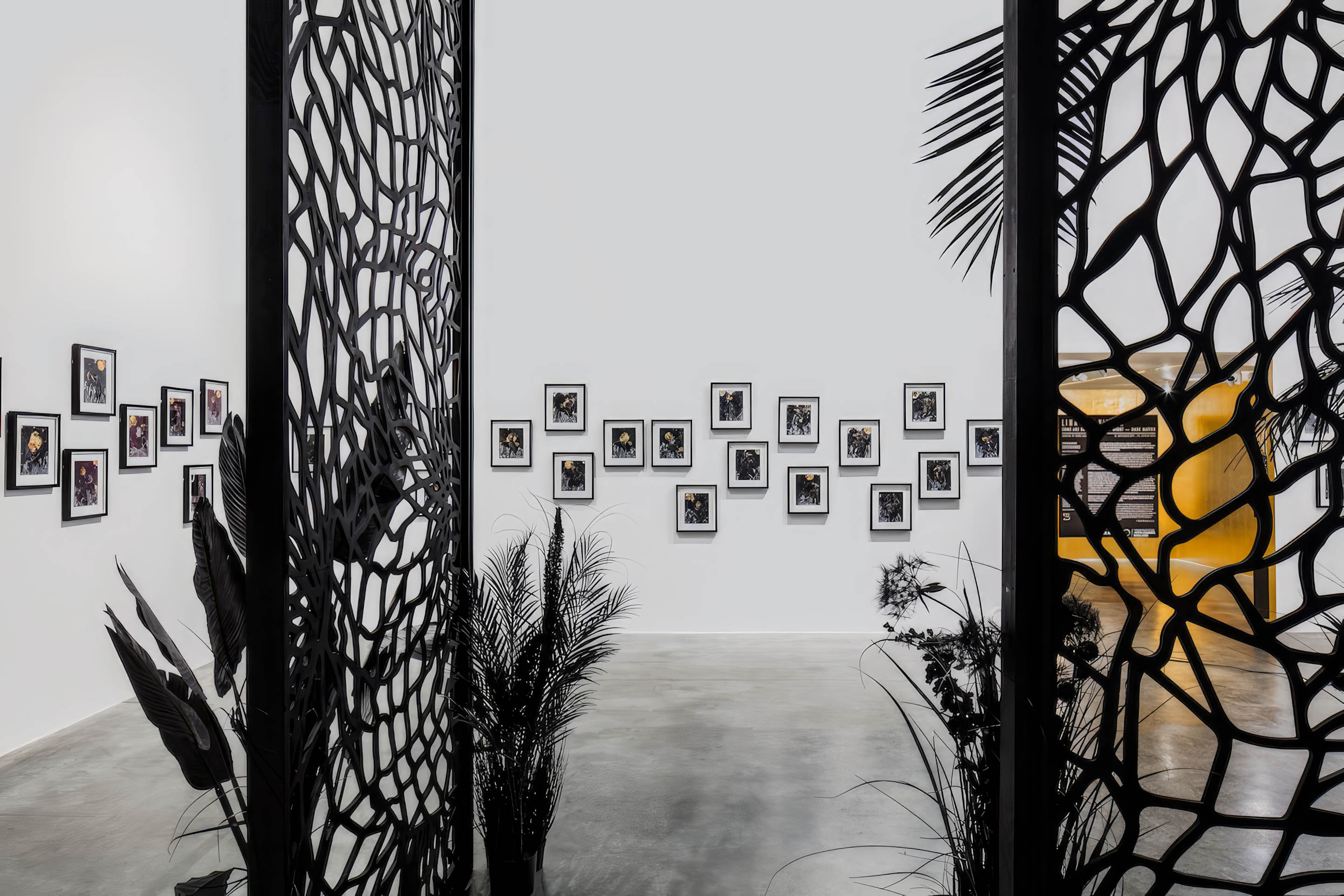 Gallery wall of framed fine art prints at an institutional exhibition