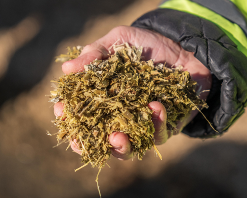 holding biomass