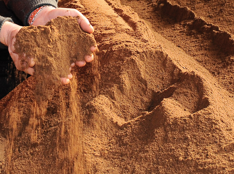 holding biomass