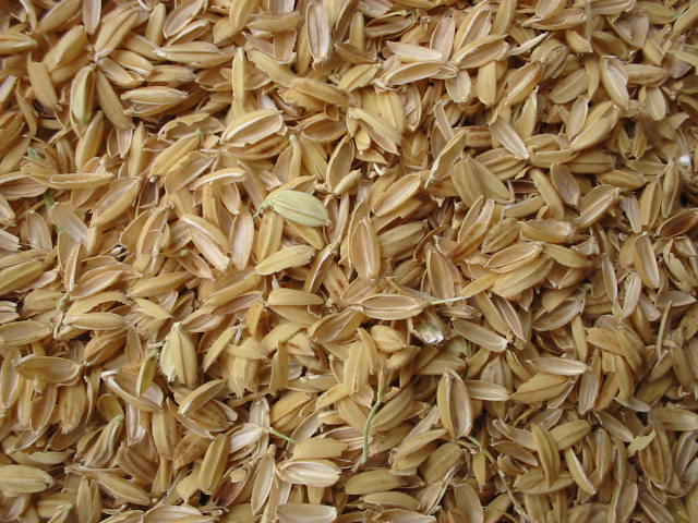 Rice Husks & Bagasse