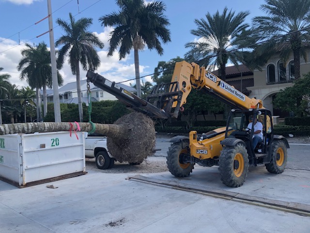 Florida Son Landscaping crew member maintaining a South Florida estate property