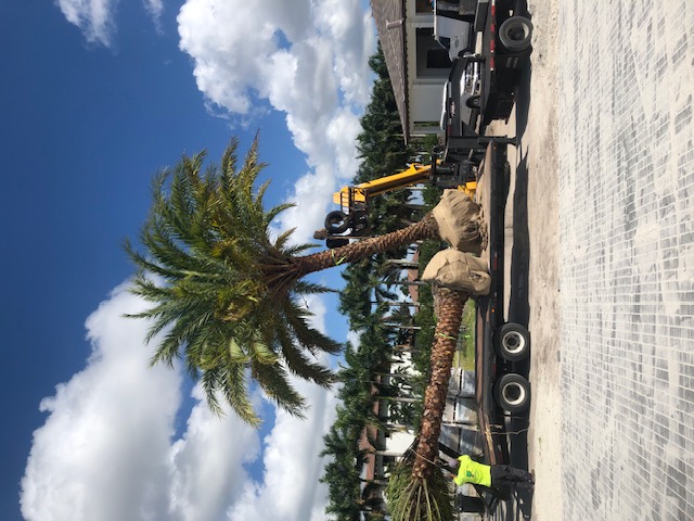 Florida Son Landscaping crew maintaining a South Florida estate lawn