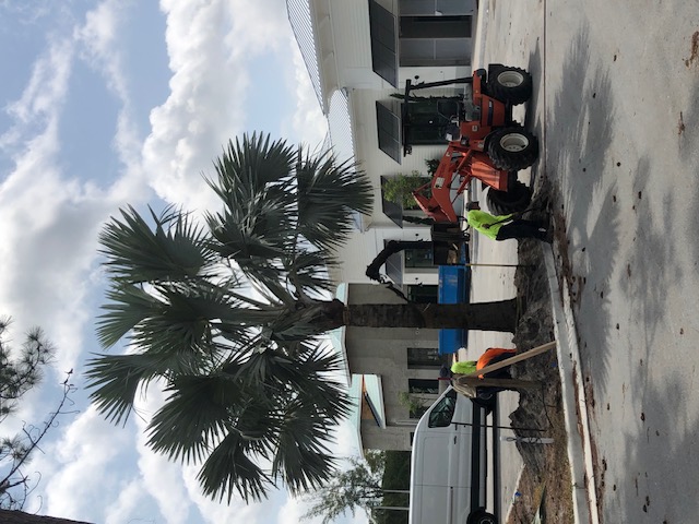Florida Son Landscaping crew member maintaining a South Florida estate property