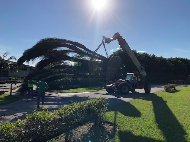Florida Son Landscaping crew member maintaining a South Florida estate property