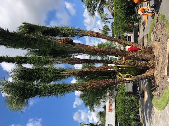 Florida Son Landscaping crew member maintaining a South Florida estate property