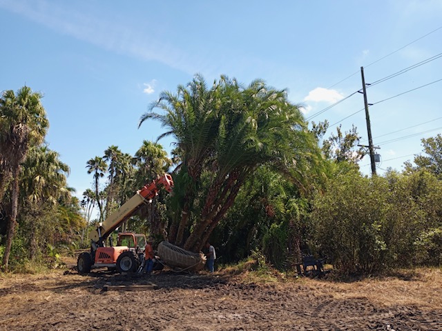 Florida Son Landscaping crew member maintaining a South Florida estate property