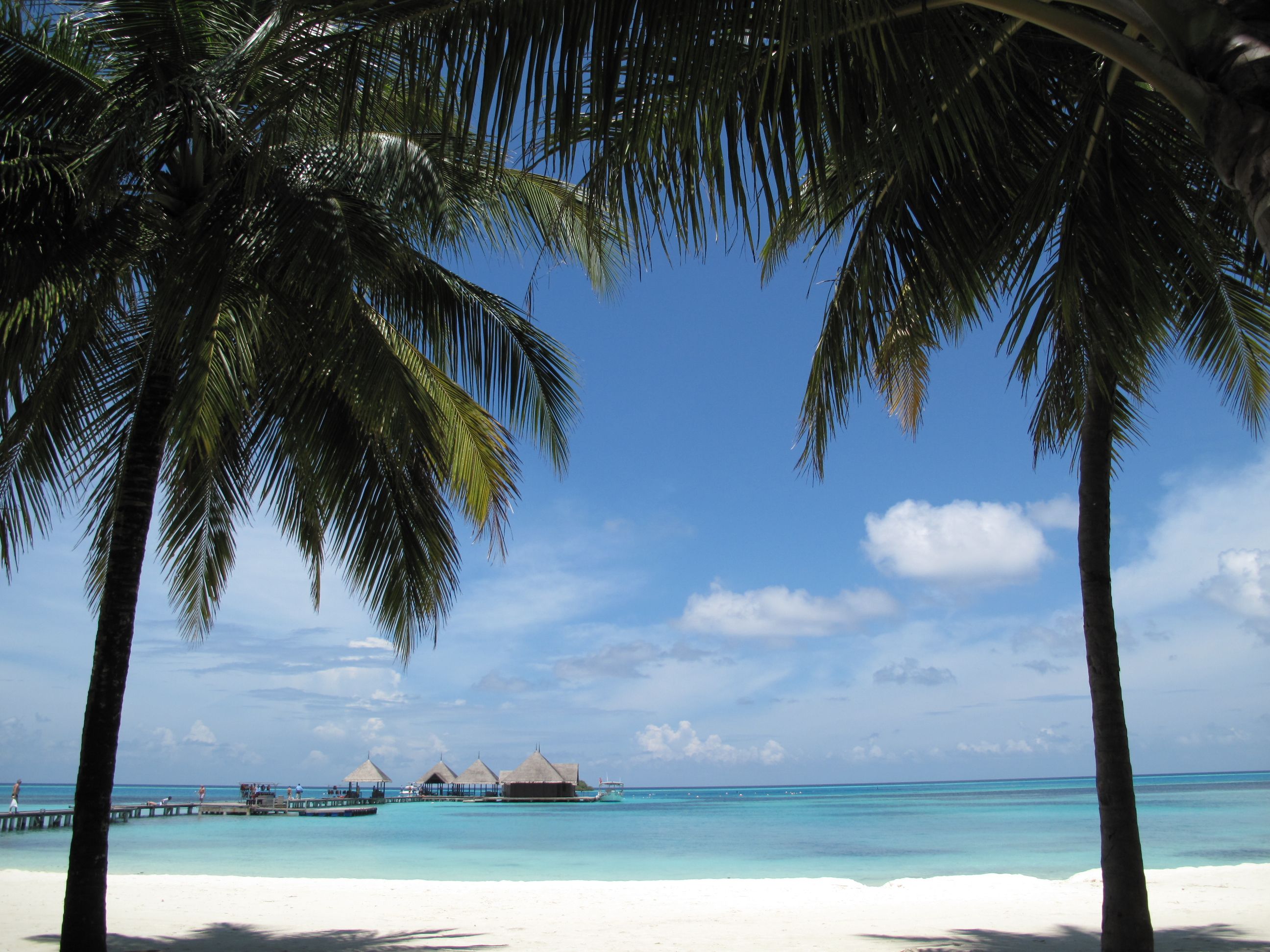 Why Visit the Maldives?
