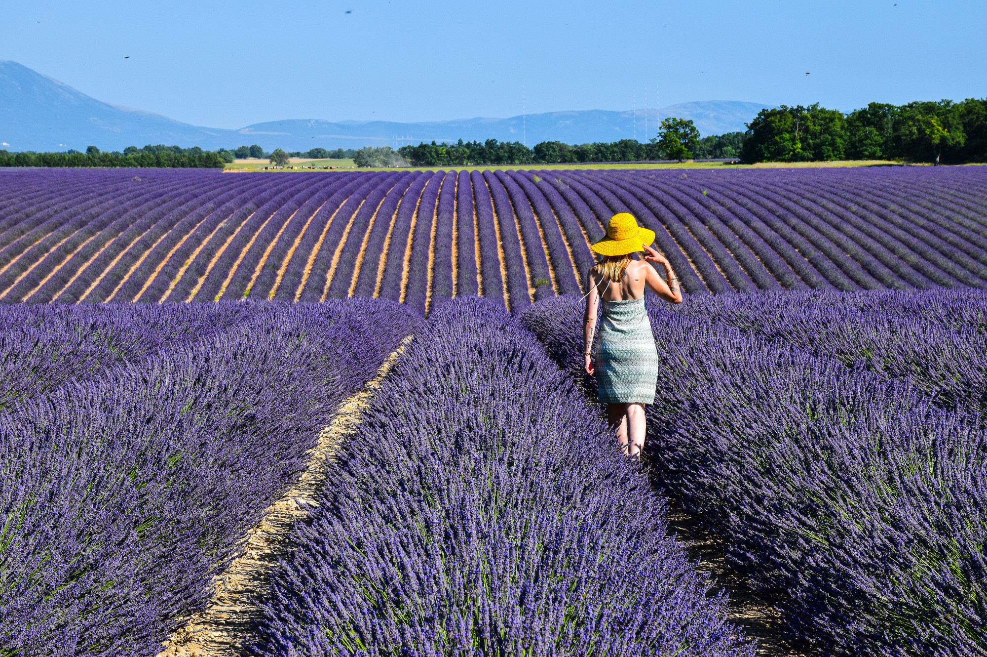 Discover the Best of Provence.