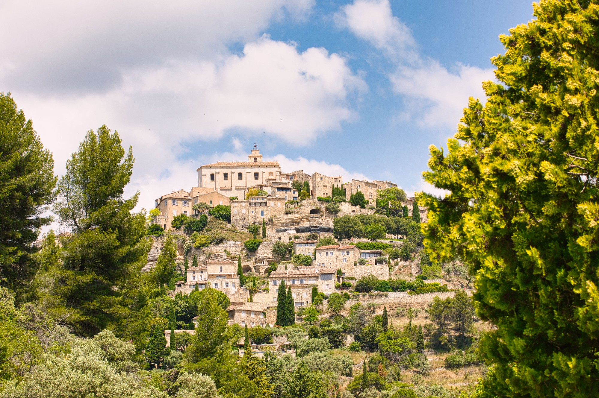 Curated Wine Tours & Epicurean Journeys.