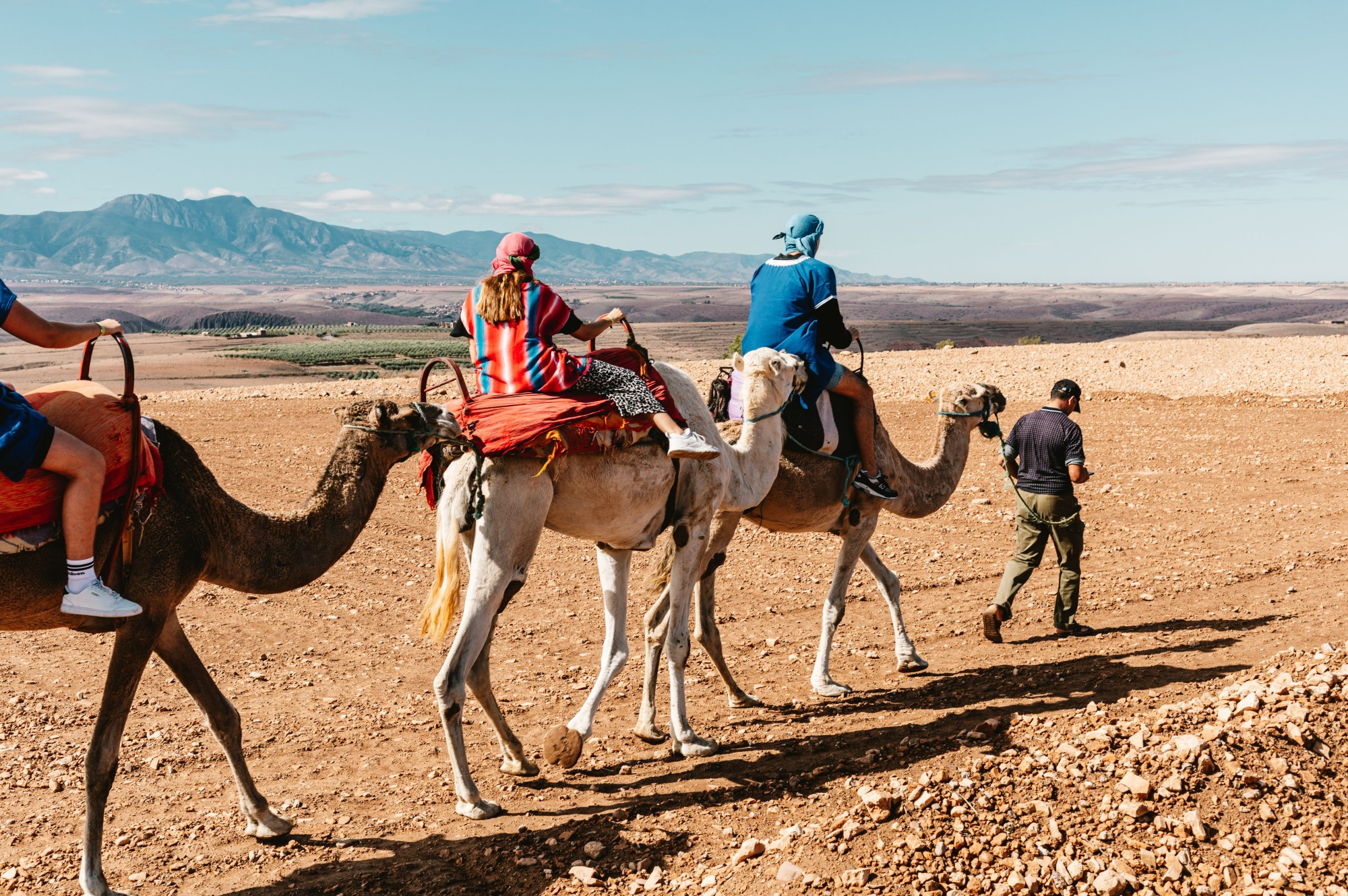 Discover the Best of Morocco.