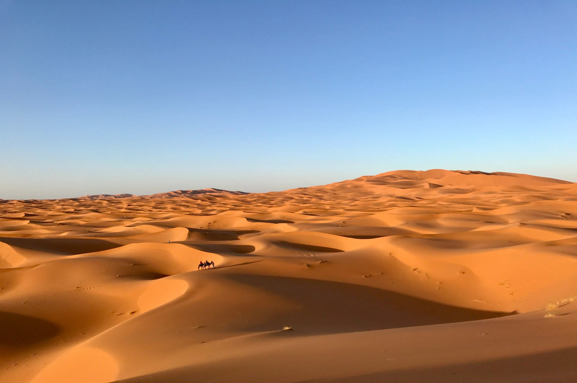 Palatial Riads & Exclusive Desert Oases.