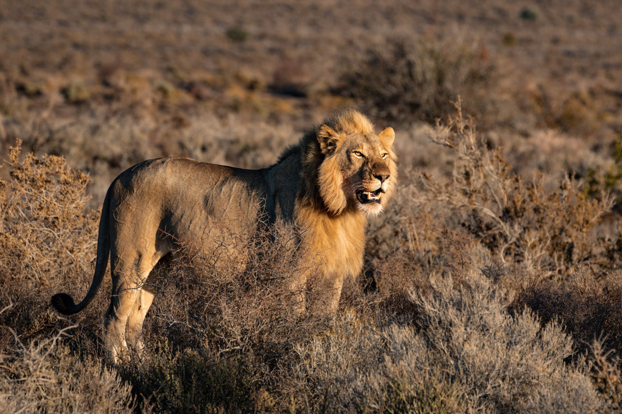Top Experiences in Southern Africa