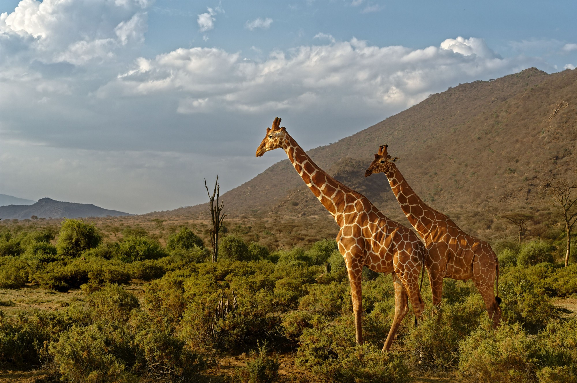 Top Experiences in East Africa