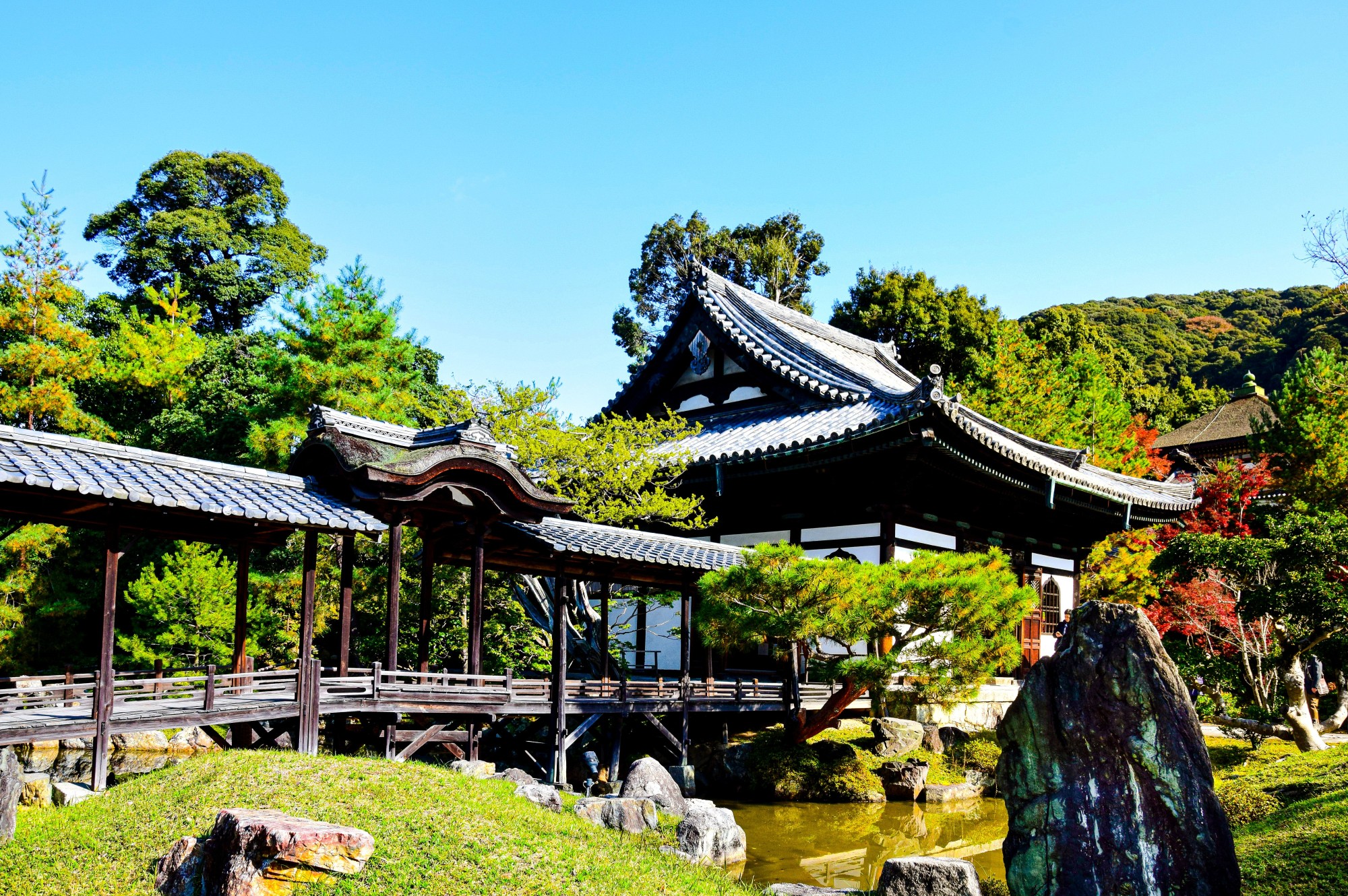 Traditional Ryokans & Luxury Stays