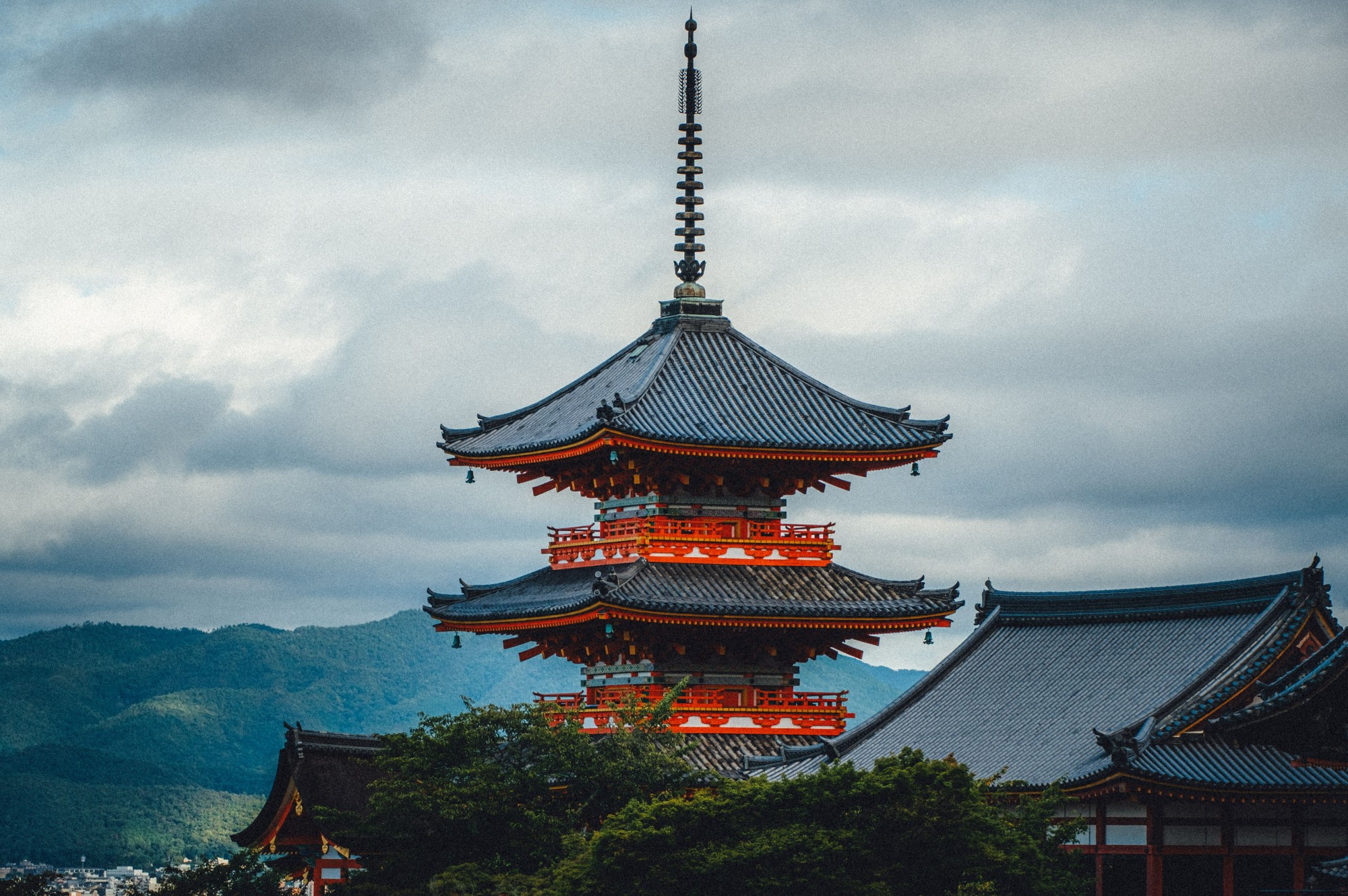 Cultural Experiences & Culinary Journeys