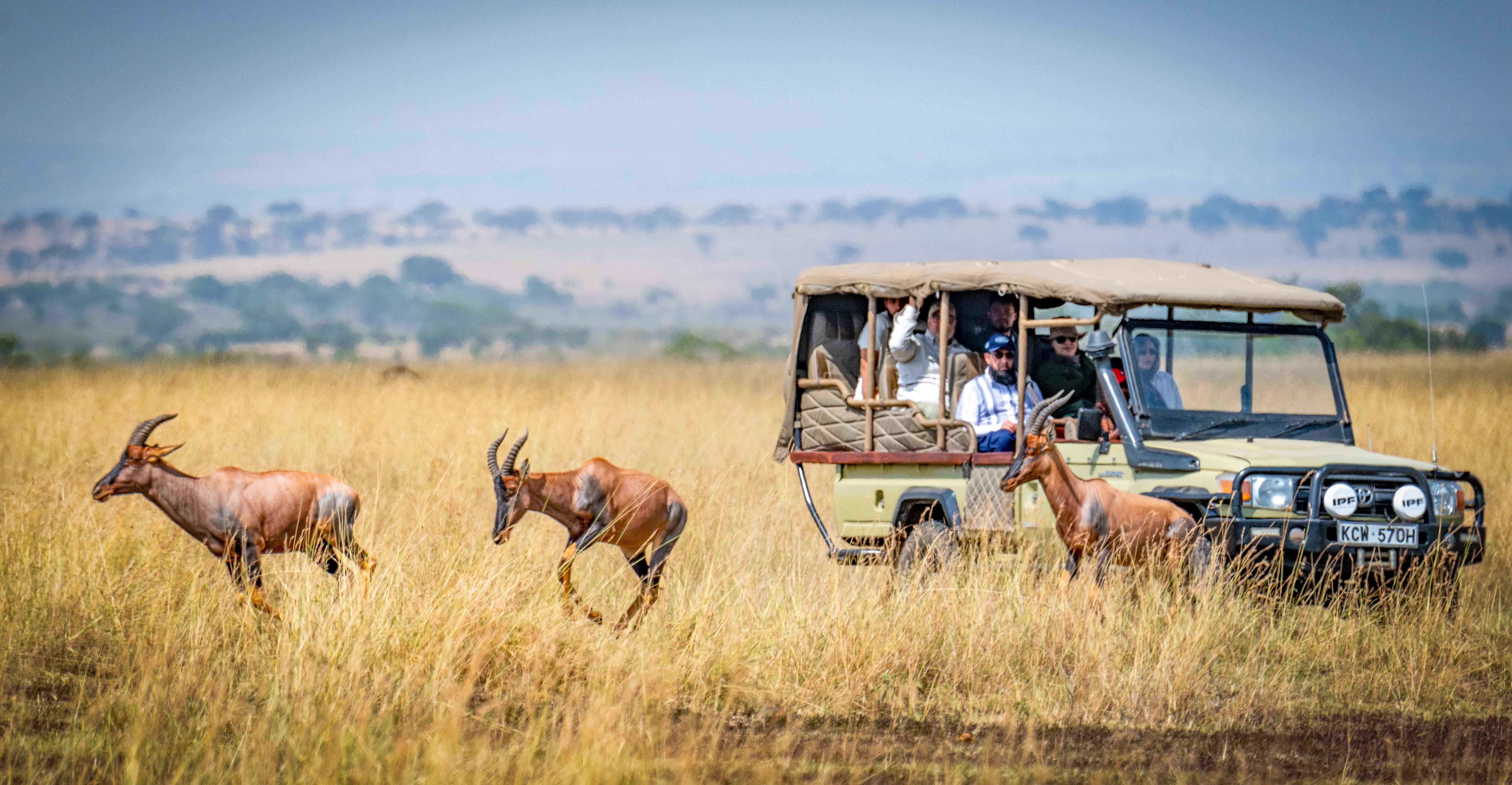 Private Game Drives & Wildlife Experiences