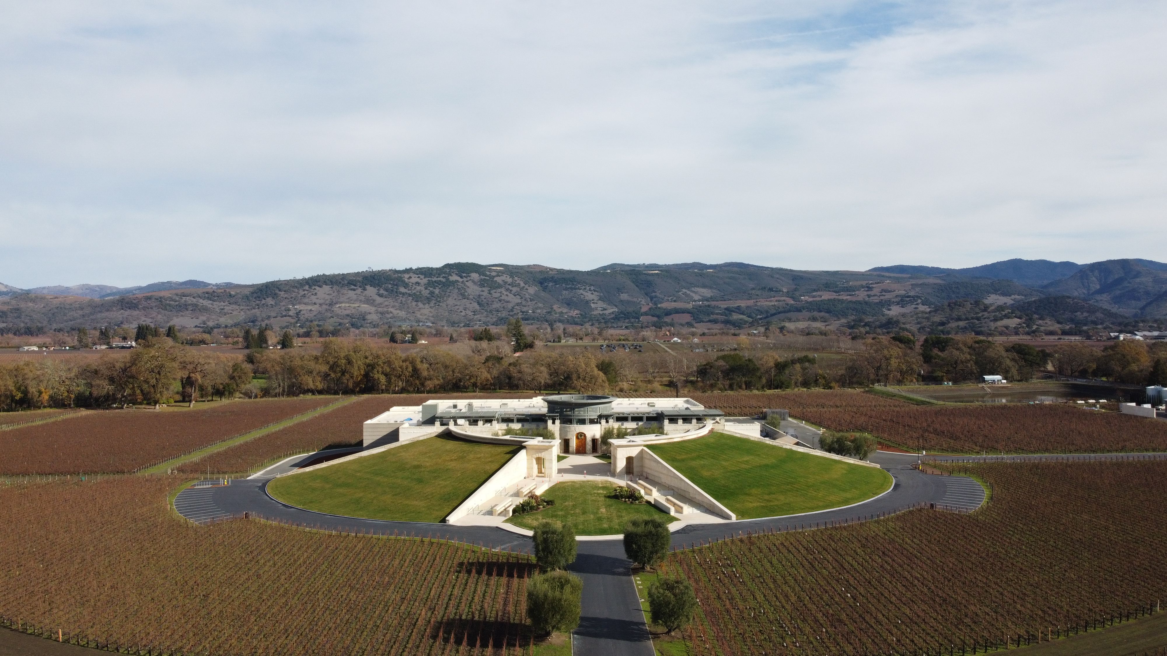 Discover the Best of Napa Valley
