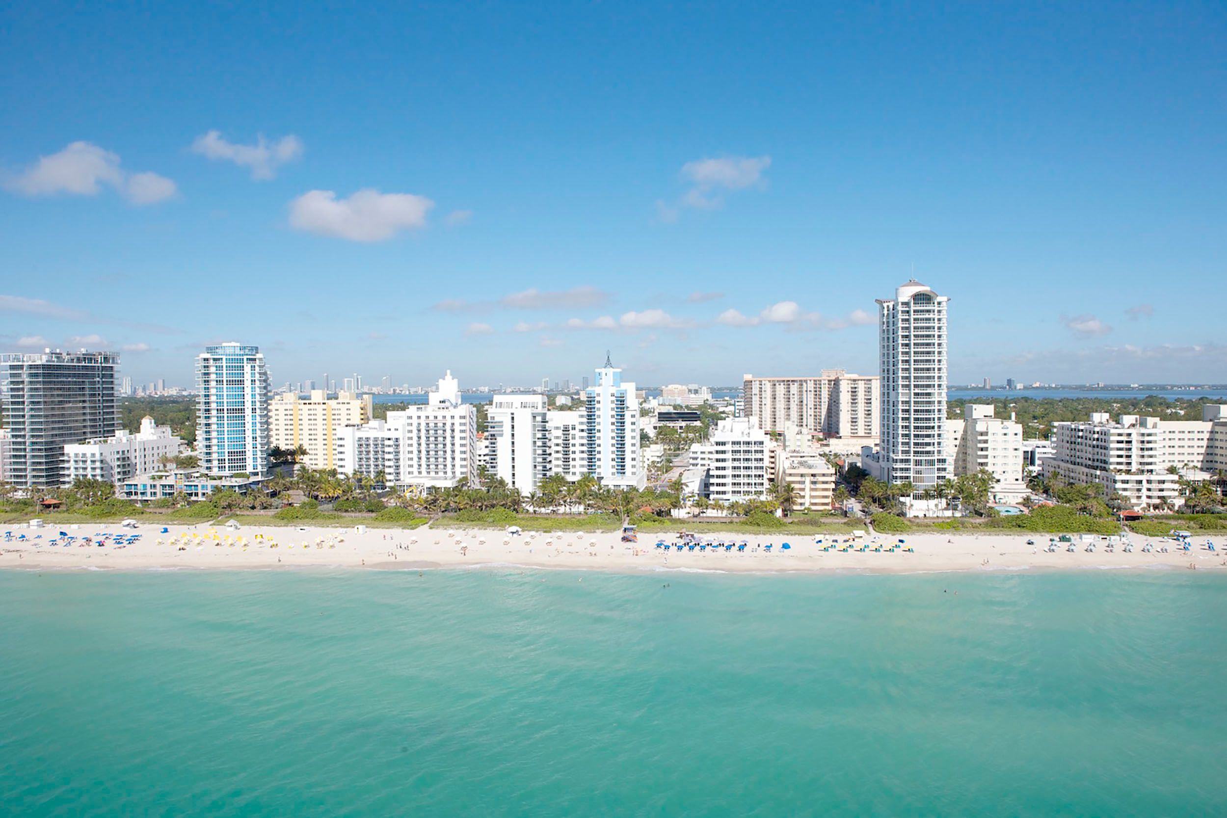 Discover the Best of Miami