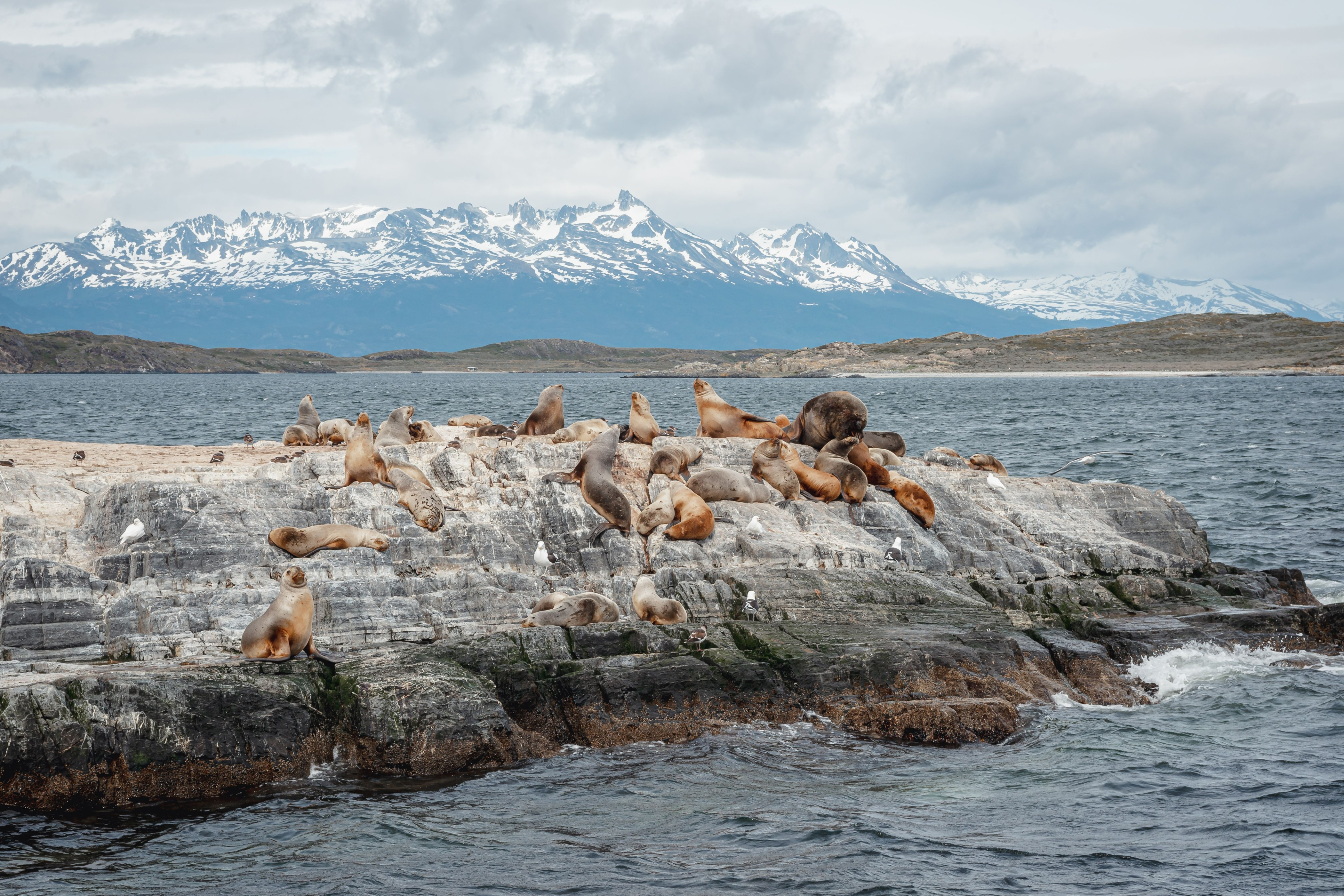 Wildlife Encounters & Scenic Experiences