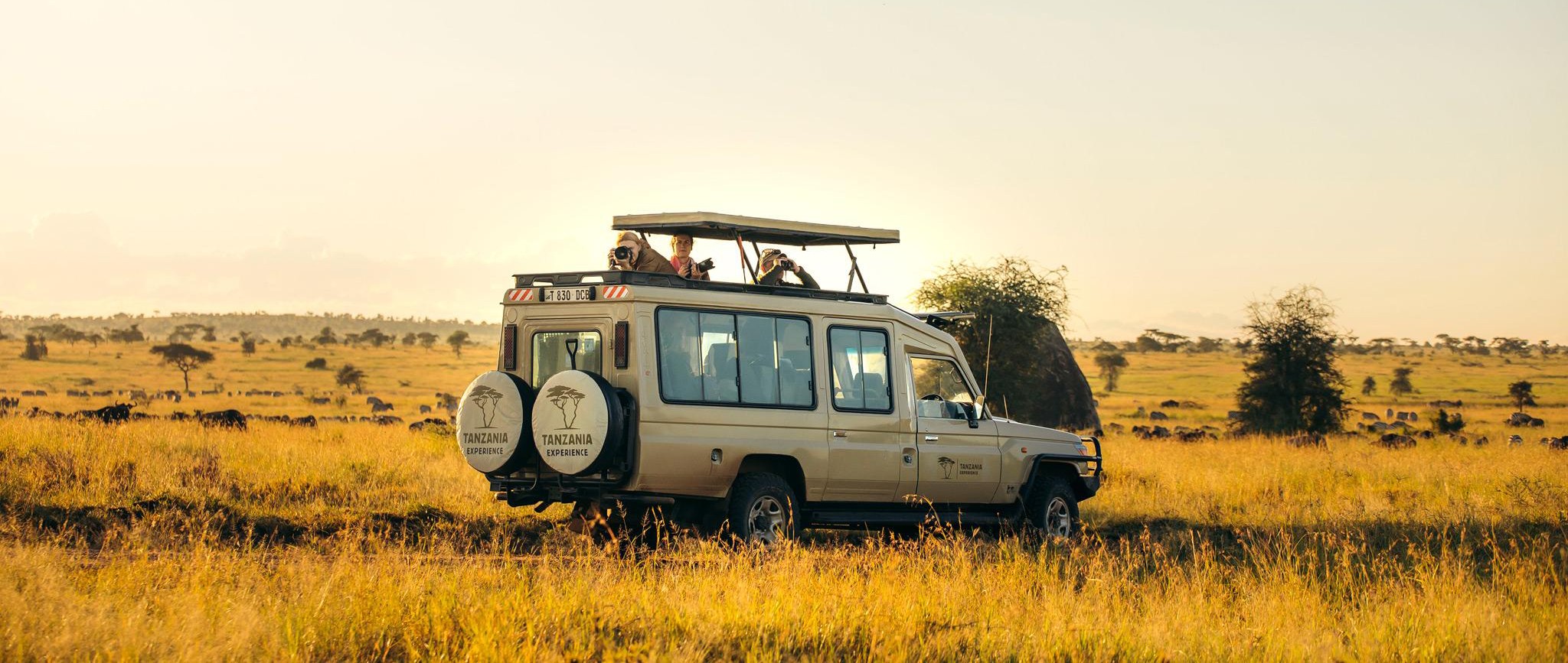 Tanzania: Serengeti & Beyond