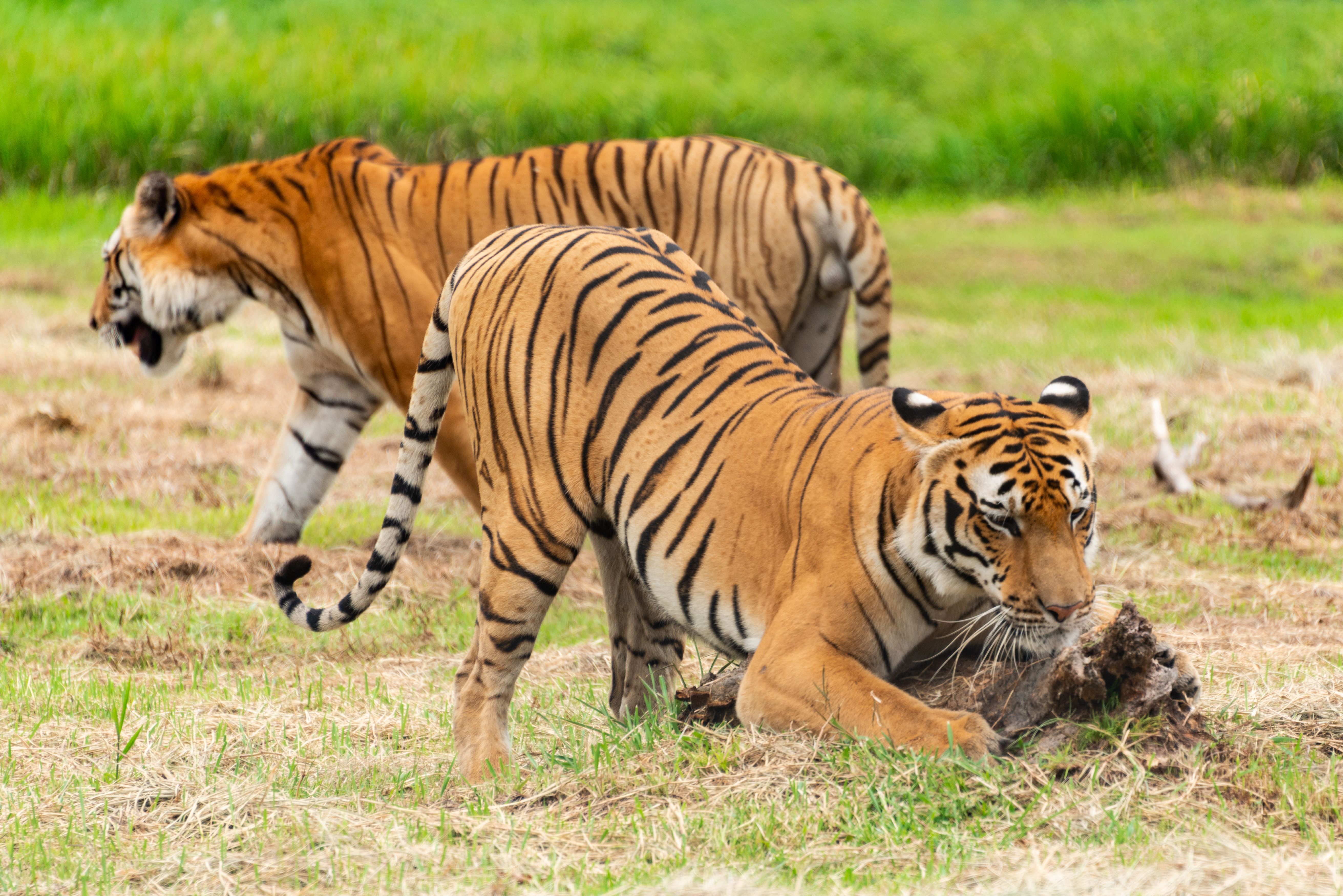 Cultural Encounters & Scenic Adventures