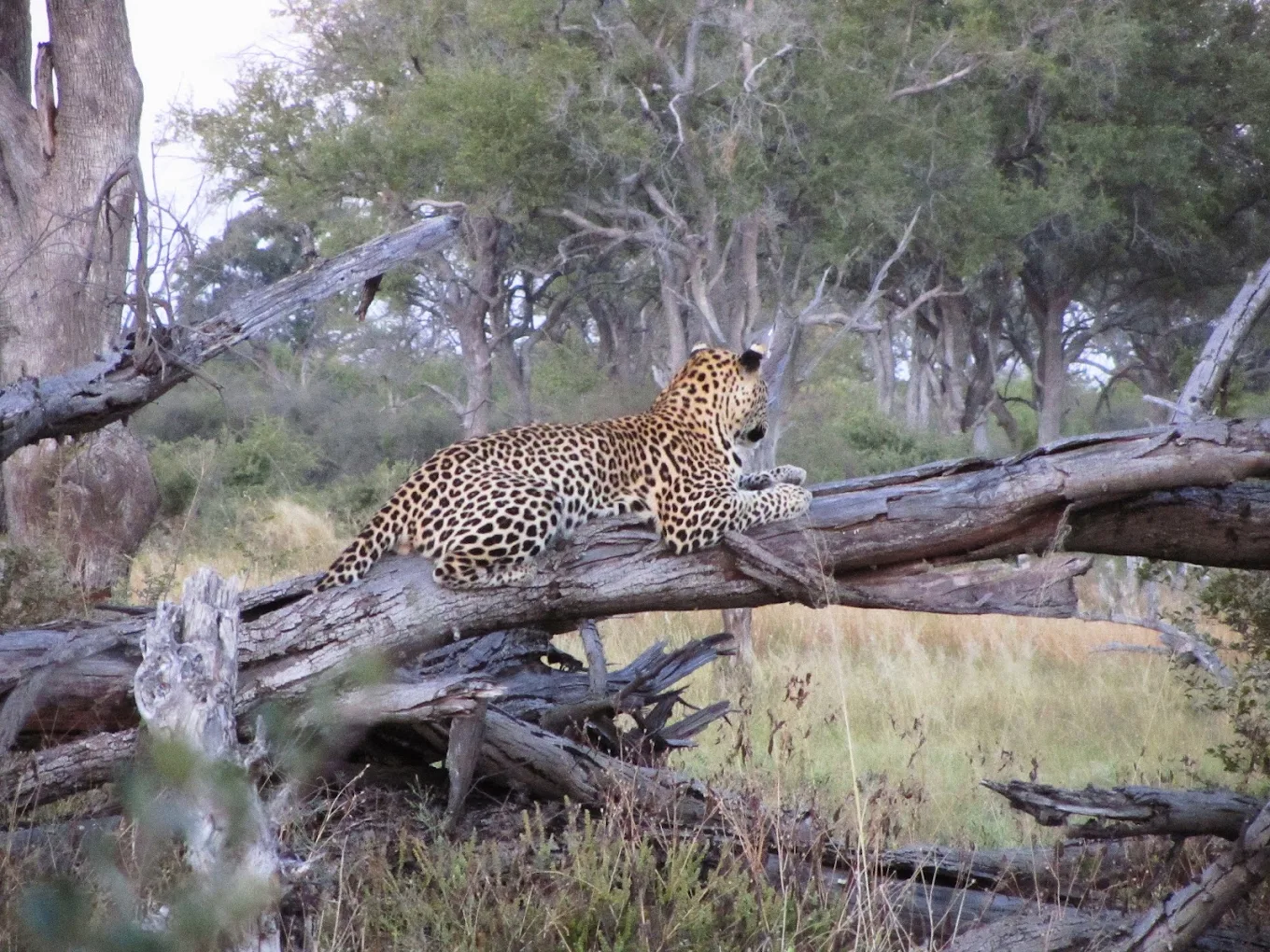 Botswana