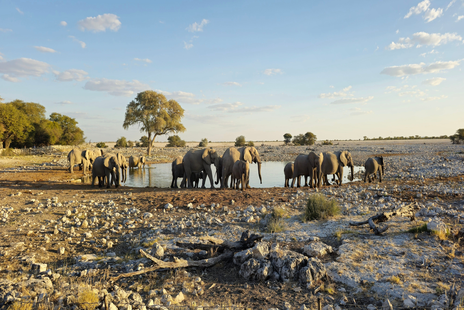 Discover Luxury Botswana Safaris