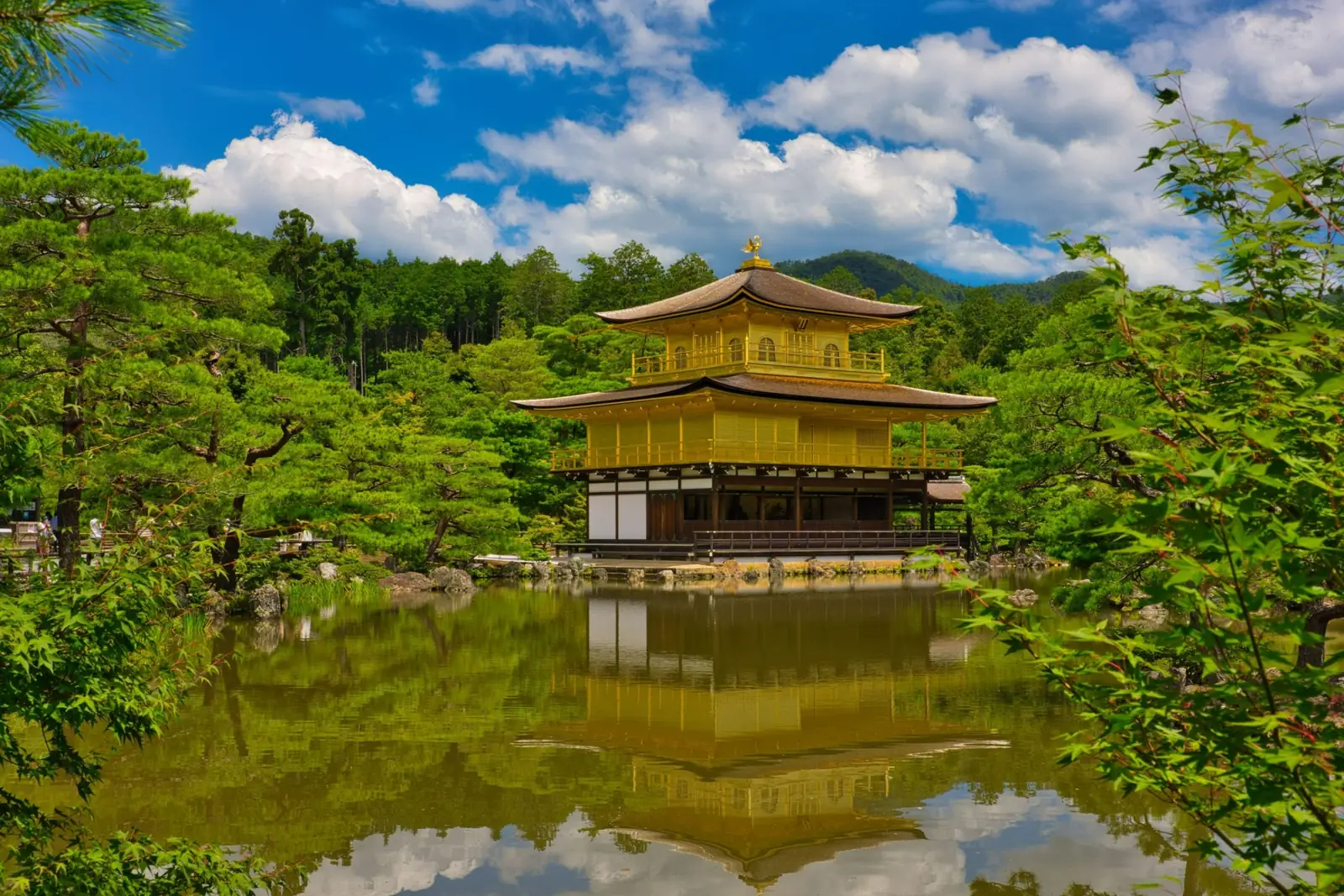 Kinkaku-ji Golden Pavilion reflected in a garden pond in Kyoto