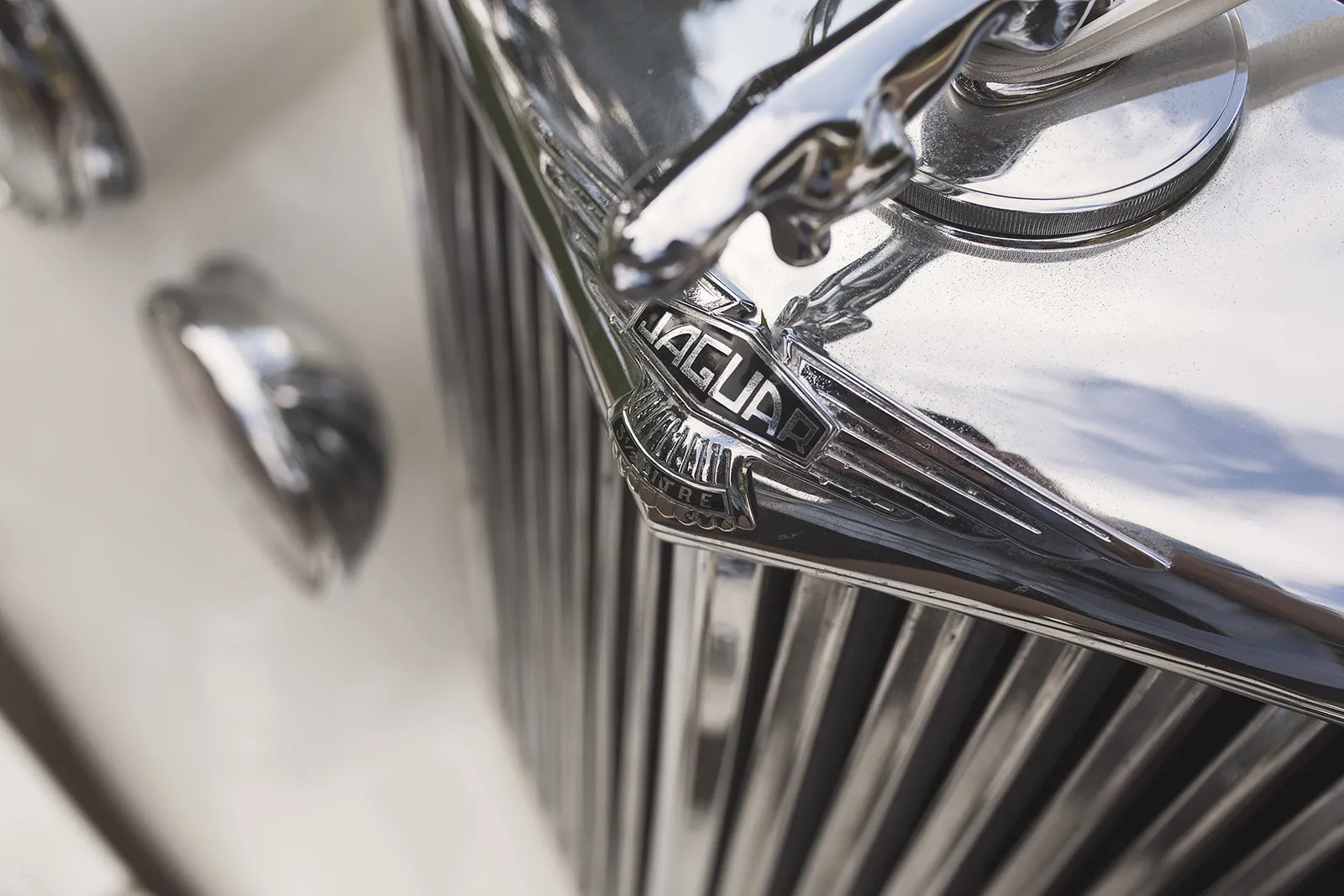 Close-up of a vintage Jaguar car grille with the Jaguar emblem and leaping jaguar hood ornament in shiny chrome.