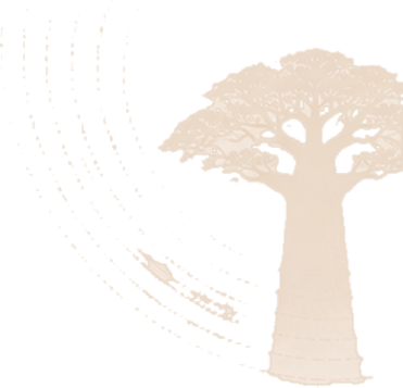 Light beige baobab tree with curved dotted lines forming a semi-circle on a black background.