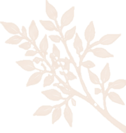 Illustration of a beige leafy branch with multiple leaves on stems.