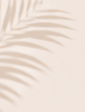 Shadow of a palm leaf cast on a light beige background.