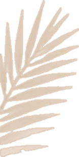 Beige stylized palm leaf silhouette on a transparent background.