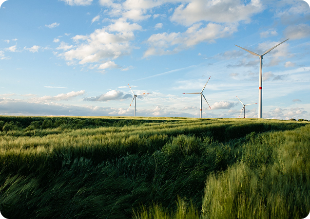 Green field with five wind turbines under a blue sky with scattered clouds.