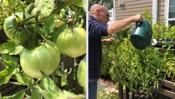 It’s National Wellness Month: Living Healthier with Dementia